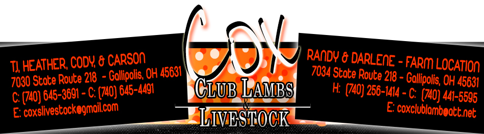 Cox Club Lambs & Livestock