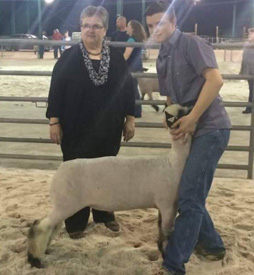 cox winner